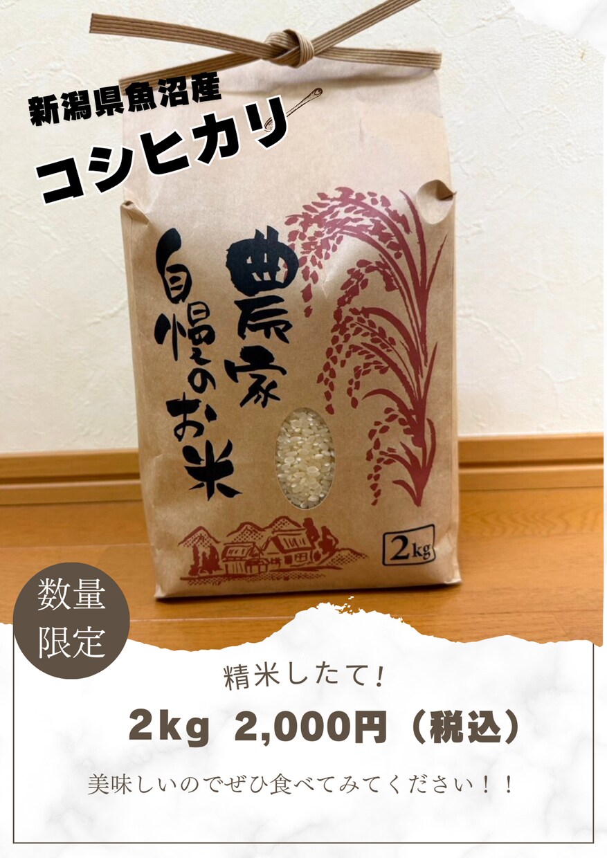 お客様の心に響くチラシを作成いたします イベントや季節に合わせたチラシ作成ができます イメージ2