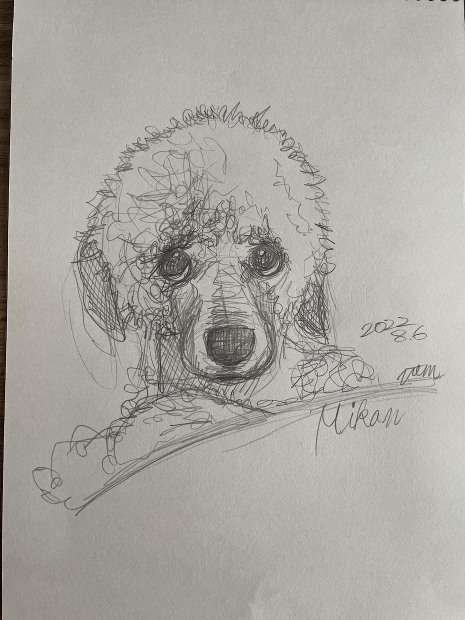 愛犬の似顔絵にお花や植物を添えます 愛犬の似顔絵に、お花や植物を融合させて描きます。 イメージ1