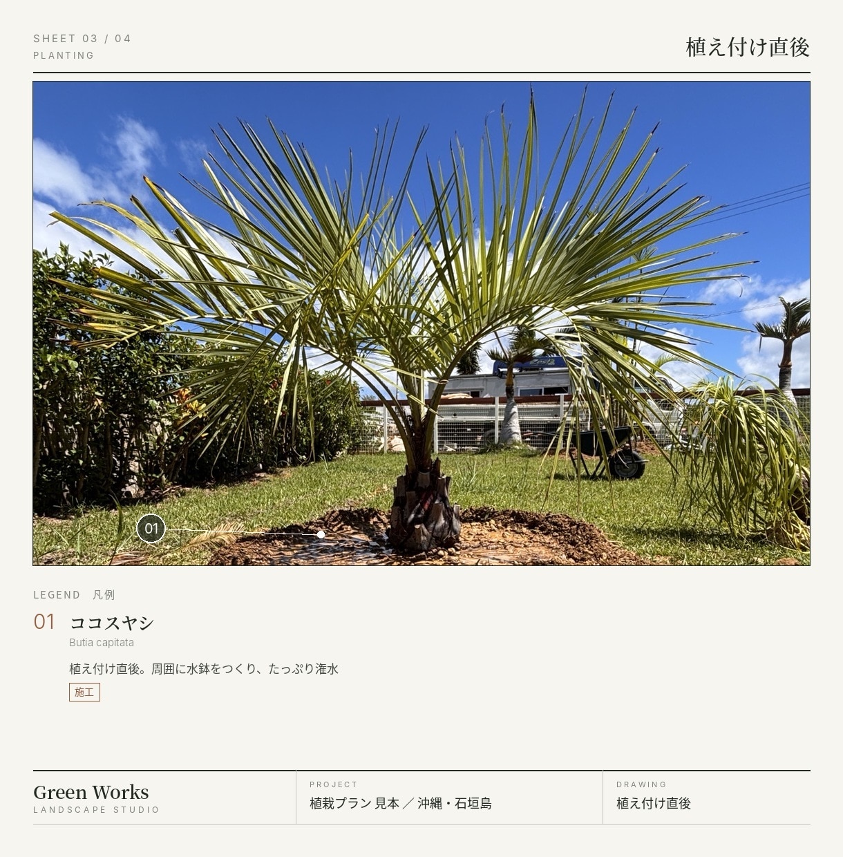 庭の写真に、植える木の位置と名前を書き込みます 樹木医補の造園職人が、日当たりと手間まで考えて選びます イメージ3