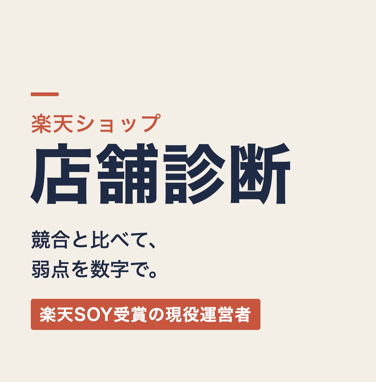 楽天SOY受賞の現役運営者が競合と比べて診断します 売れている競合が「商品ページで何をしているか」まで分解します イメージ1