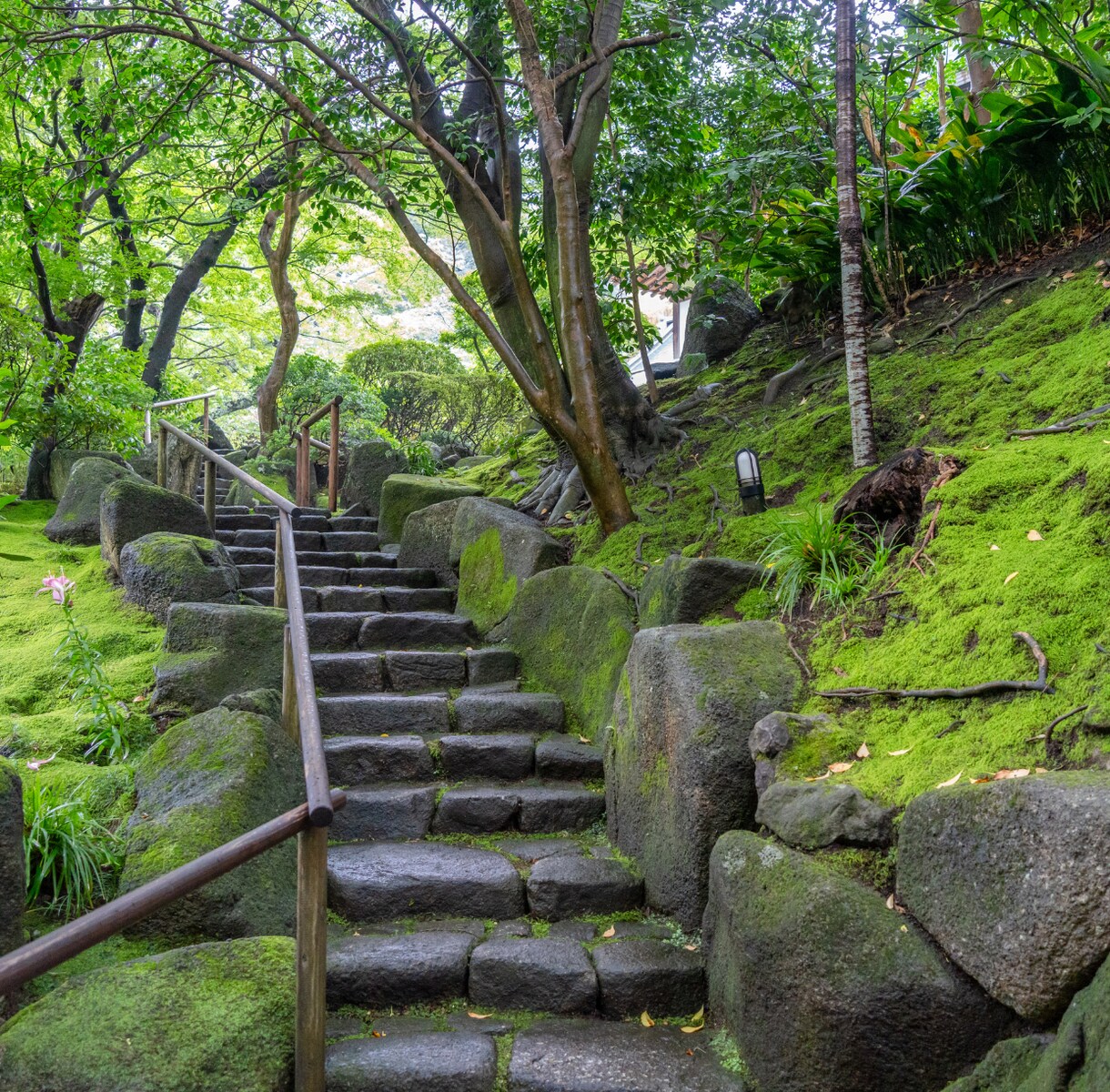 仕事と才能の魂路未来設計をいたします 転職・独立・継続の未来を具体的に比較します イメージ1