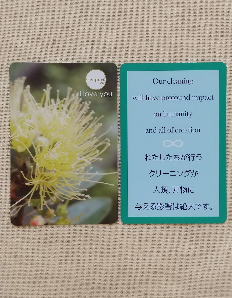 オラクルカードとCeeportカード各1枚引きます 今必要なメッセージをカードから受け取ってみませんか。 イメージ5