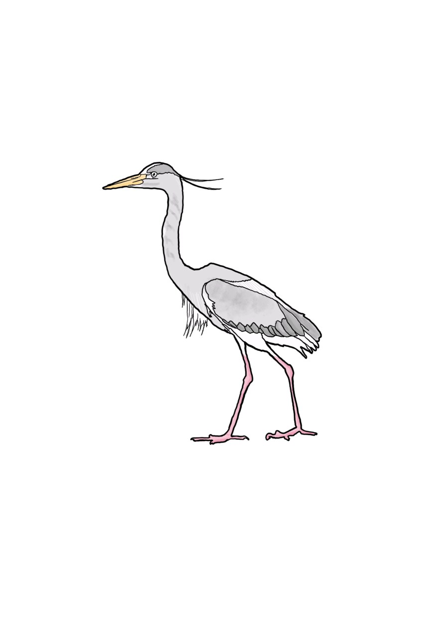 イメージのようなテイストのイラストを描きます リアリティがありながら、可愛らしさのあるイラストが得意です。 イメージ7
