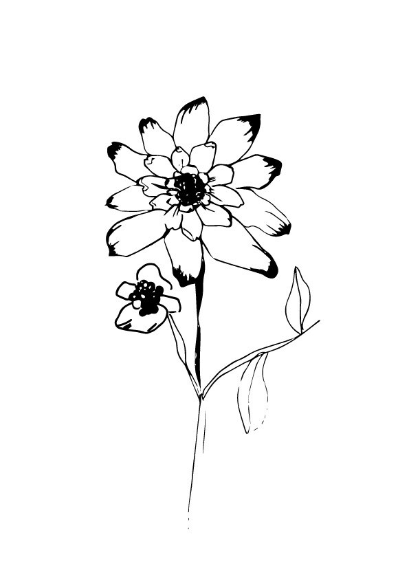 線画のみのお花の絵描きます いろんな用途でご使用できます。 イメージ1