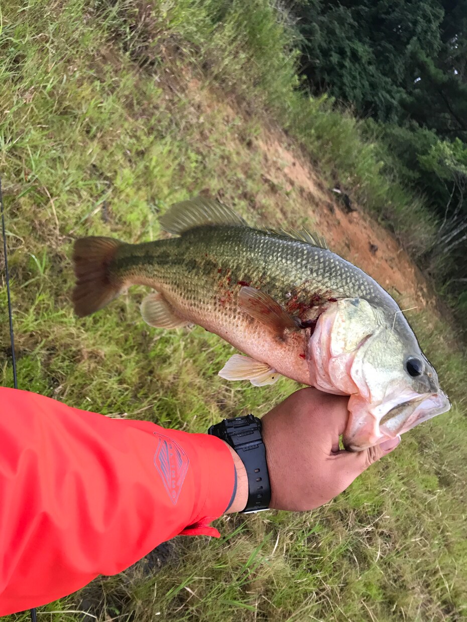 ブラックバスの釣り方ルアー選びお教えします まだ釣りを始めたばかりの方、小物しか釣れずにお悩みの方 イメージ1
