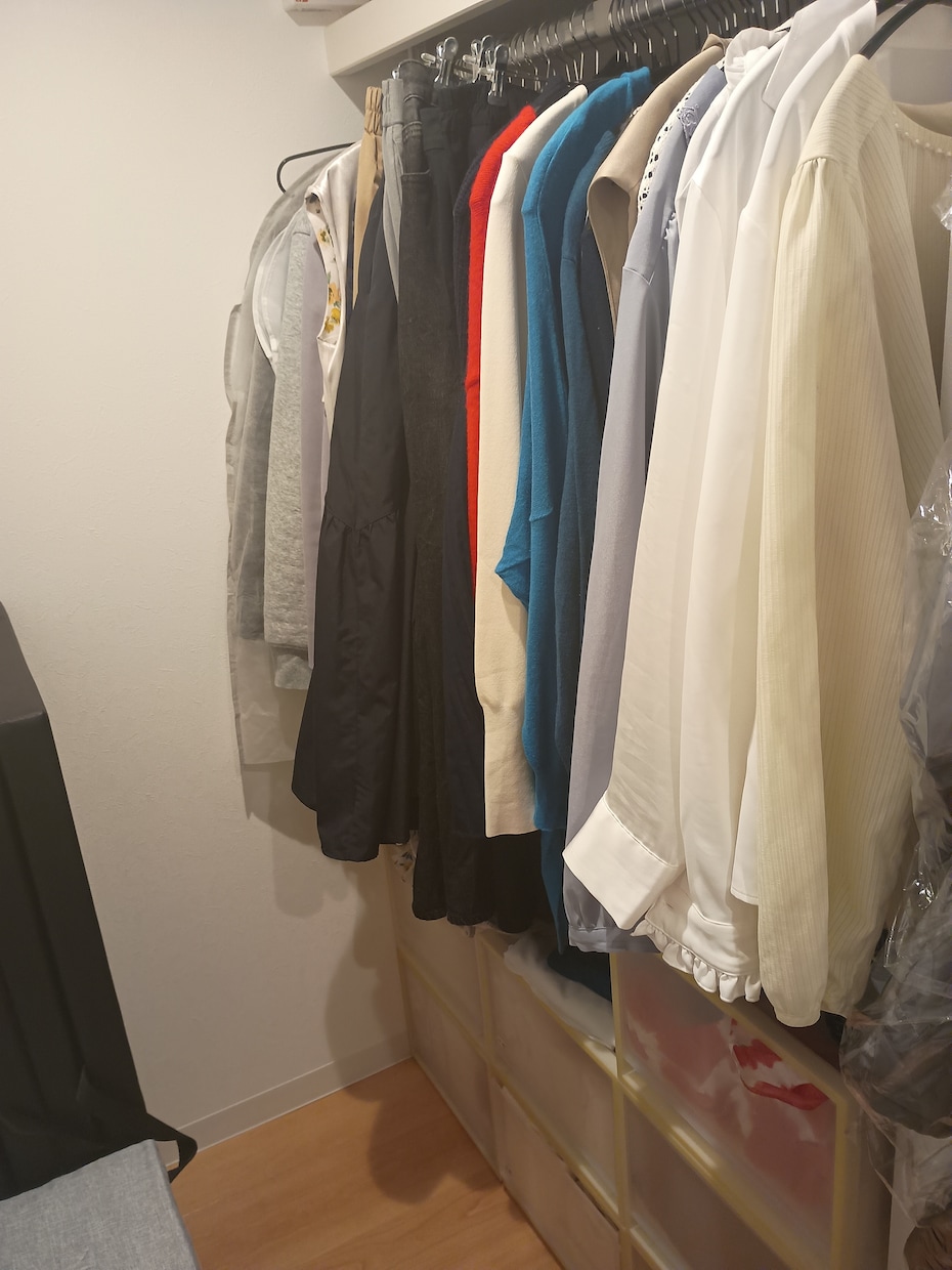 女性限定・クローゼット相談を受けます 「着たい服」が見つかるクローゼットづくりをお手伝いします。 イメージ4