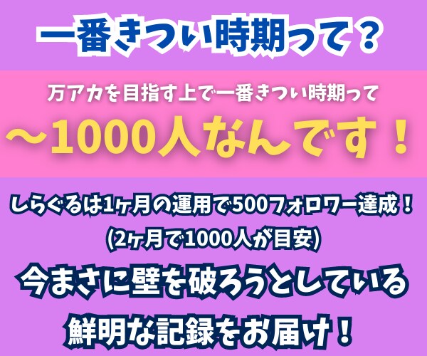 1ヶ月８投稿でフォロワー500人増えた方法教えます インスタフォロワー1000人を目指す実戦記そのままお伝え！ イメージ3