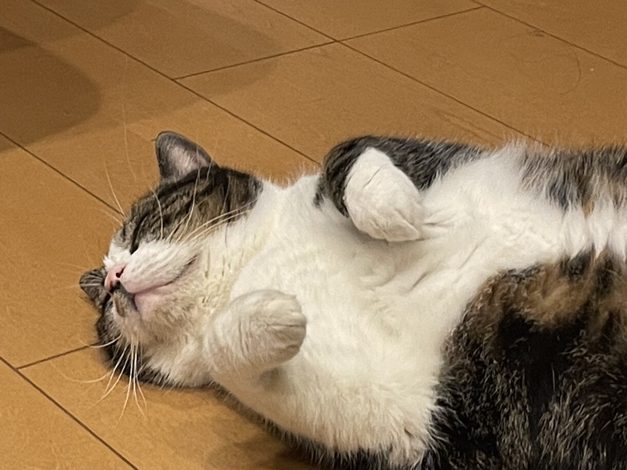 喋りたい相手致します 愚痴でもなんでもお話し相手いたします。 イメージ1