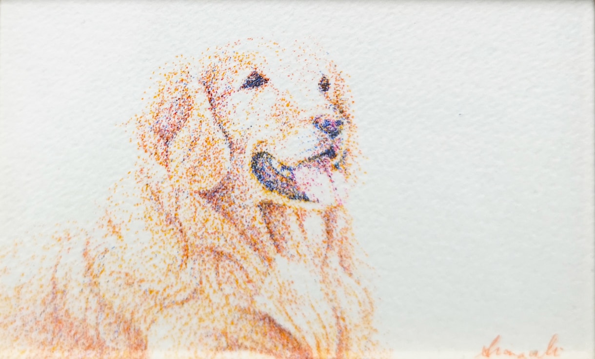 ペットの絵画制作します サイズ15㎝以下でペン画の実物を納品させていただきます。 イメージ3