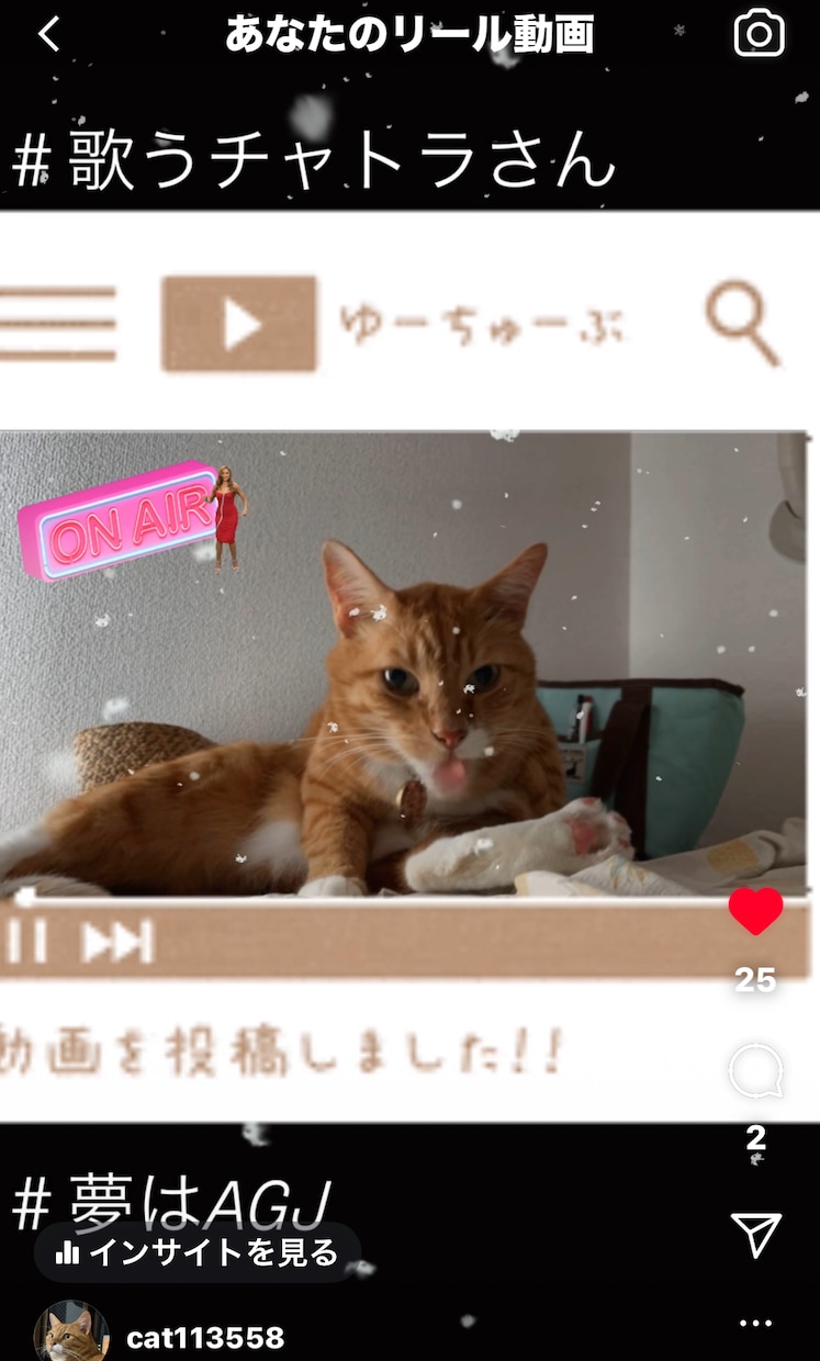今流行の歌って踊るペットの動画の作り方を教えます ペットの写真をご用意ください、インスタ投稿用動画を作ります イメージ1