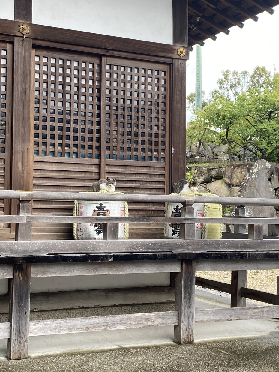 恐怖体験お聴きします 本当に起こった心霊体験や不思議な体験をお聞きします。 イメージ1