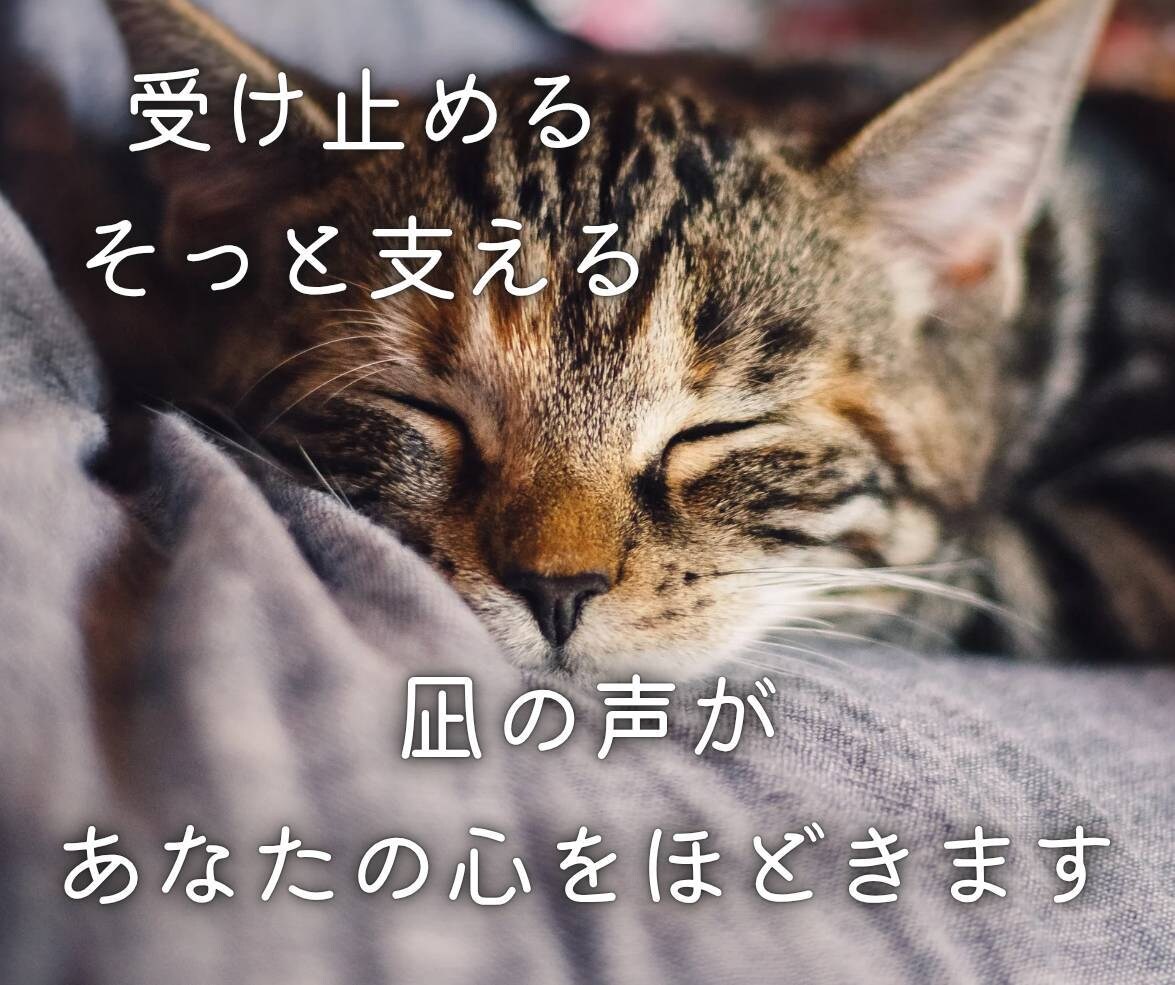 じっくり話せる凪の相談室♪あなたの心に寄り添います 話してよかったと思える時間。貴方の想いまるごと受け止めます イメージ3