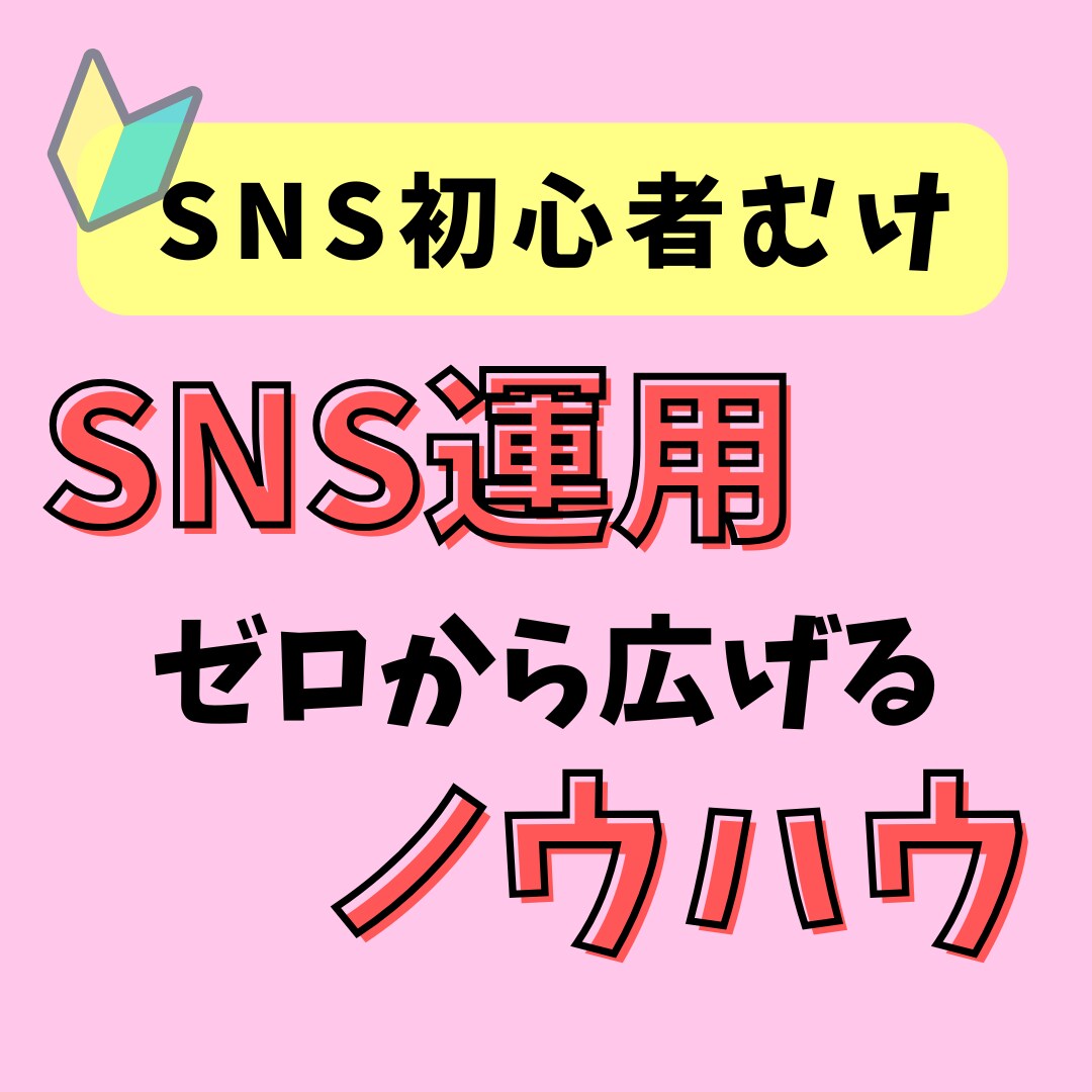 初心者向け最終手段！副業のためのSNS教えます SNSで拡散させてあなたの副業をさらにパワーアップ！ イメージ1