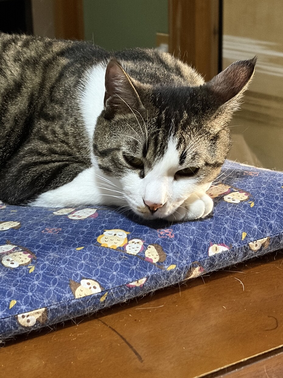 愚痴や思いをお聞きします 人は悩みます。吐き出したい時にいつでも寄り添います。 イメージ1