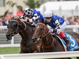 元騎手がリバウンドしないダイエットをサポートします 約20年間競馬界で培った食べて痩せるダイエットでサポート イメージ1