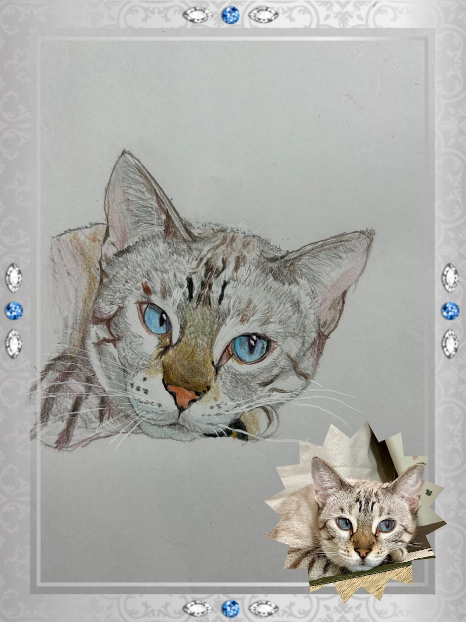 お家の猫ちゃんの似顔絵描きます 色鉛筆で丁寧に仕上げます！！お顔中心に描かせて戴きます。 イメージ1