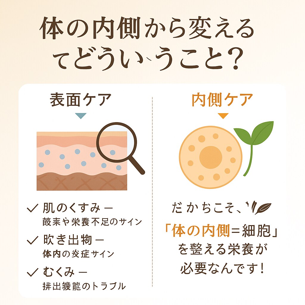 肌と気分が整うと、見た目が5歳若返ります 元美容部員×分子栄養アドバイザーによる肌根本分析 イメージ6