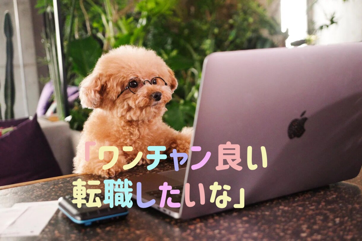 仕事辞めるべき？タロットで答えを導きます 【リアル】どう行動すべきか占います【長文鑑定】 イメージ1