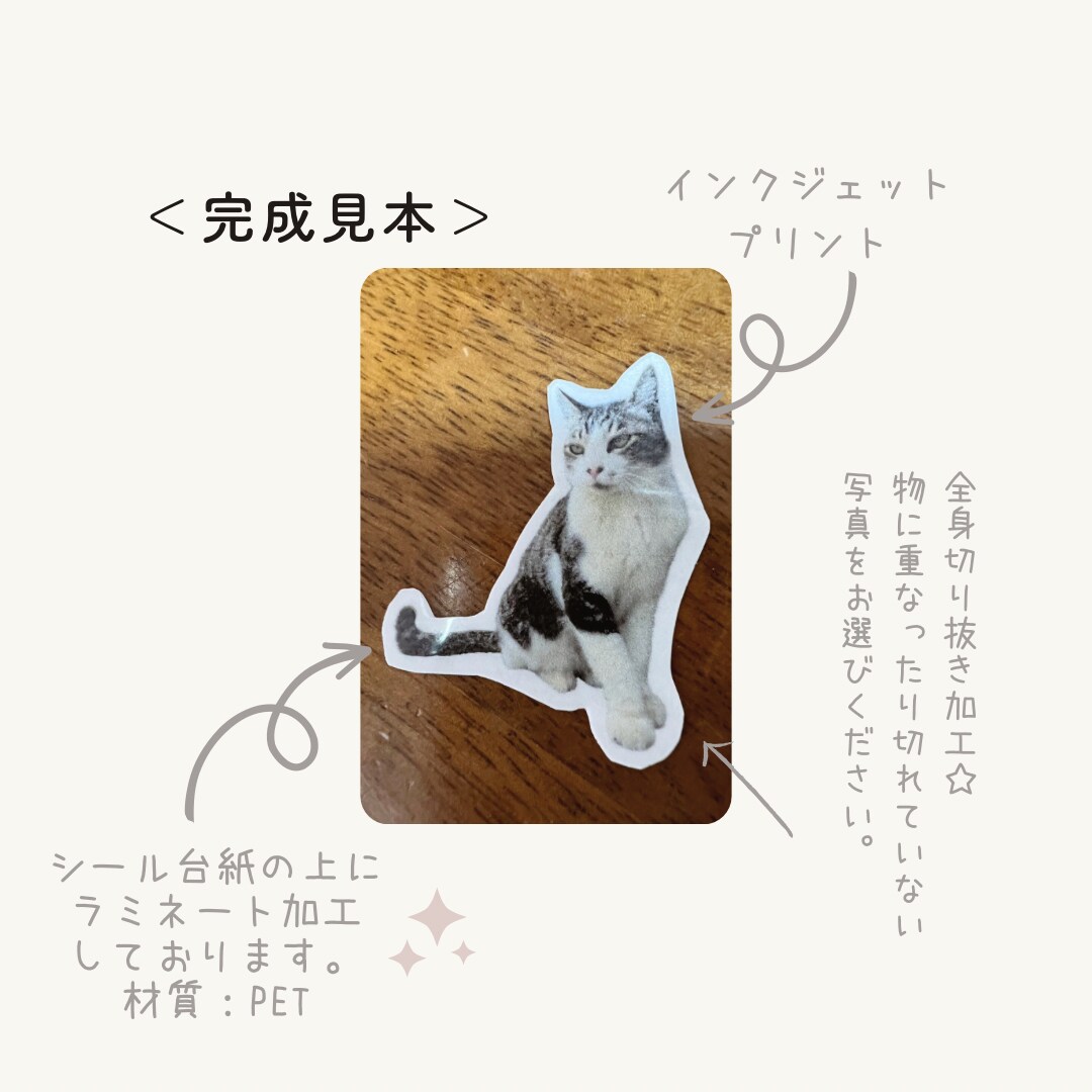 オーダーメイド！世界に一つのペットシール作ります 【送料無料】ハンドメイド♡ラミネート加工で表面ツヤツヤ♩ イメージ4