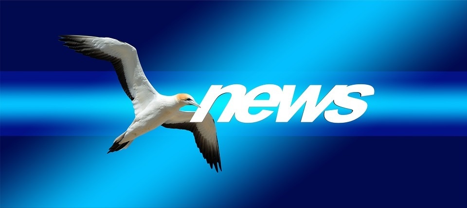 現役新聞記者が目を引くプレスリリース作ります 歴20年超！経歴を活かし、記者の心をつかむプレスリリースを！ イメージ1