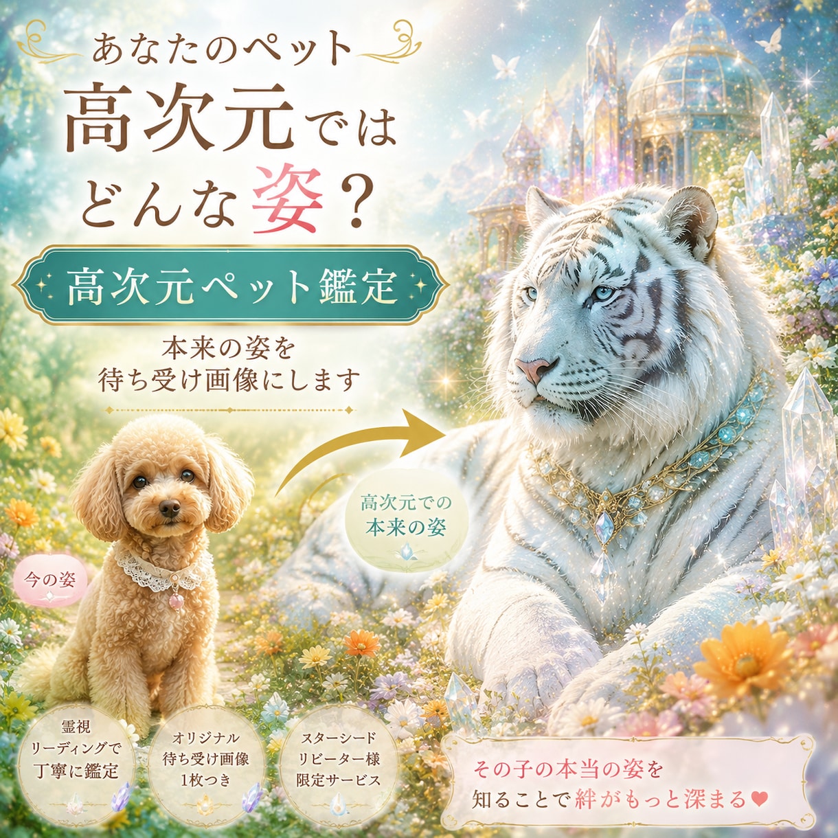 ペットの本当の姿　携帯待ち受け画像つくります スターシード向け　高次元ガイド鑑定 イメージ1