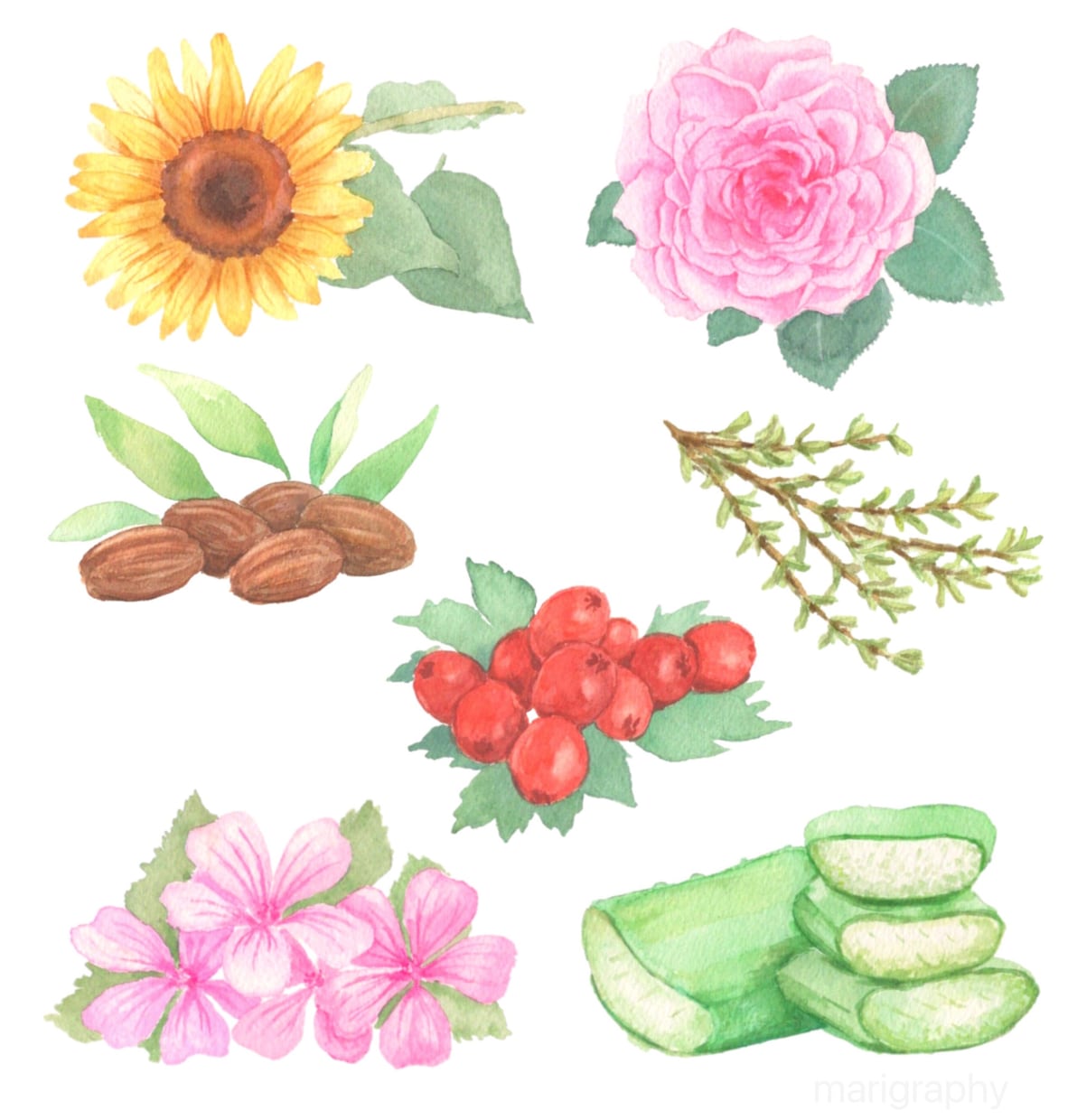 水彩画でイラスト素材を描かせていただきます 〜丁寧なヒアリング〜 温かく優しいタッチが得意です♪ イメージ2