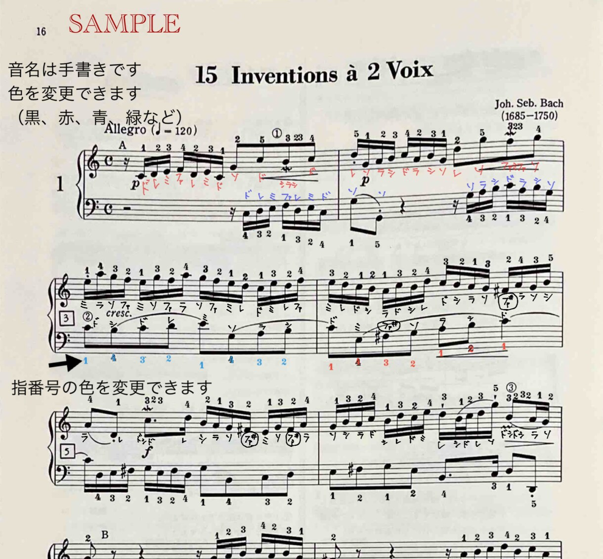 ピアノ楽譜に音名・指番号を書きます 〜譜読みの時短を叶える！運指がスムーズに！〜 イメージ2