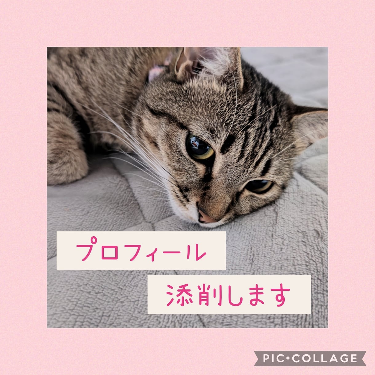 30代の女性目線でプロフィール添削します 一緒に魅力的なプロフィールを完成させましょう イメージ1