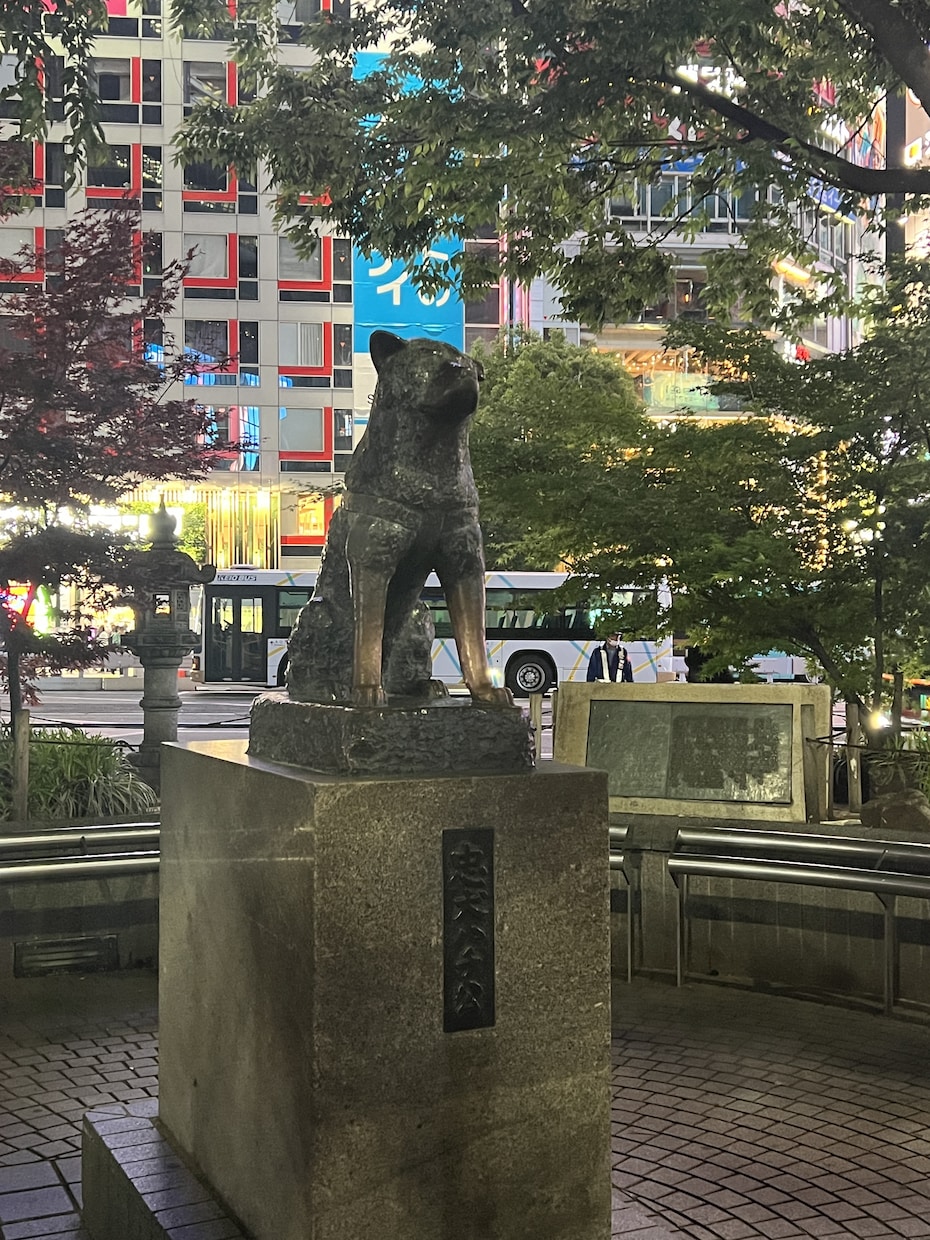 東京都内の写真を撮ってきます 東京都出来になる場所があれば現地調査としてでも写真を撮ります イメージ6