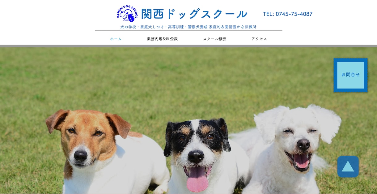 スッキリ綺麗! 更新簡単Wixホームページ作ります 実績20件以上 SEO重視の綺麗でクールなWix集客サイト イメージ2