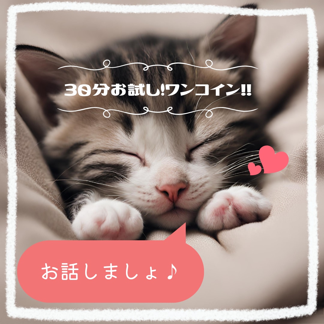 まずはお試し！ワンコイン☆30分お話相手になります 気になる方はまずはこちらからヾ(≧▽≦*)o イメージ1