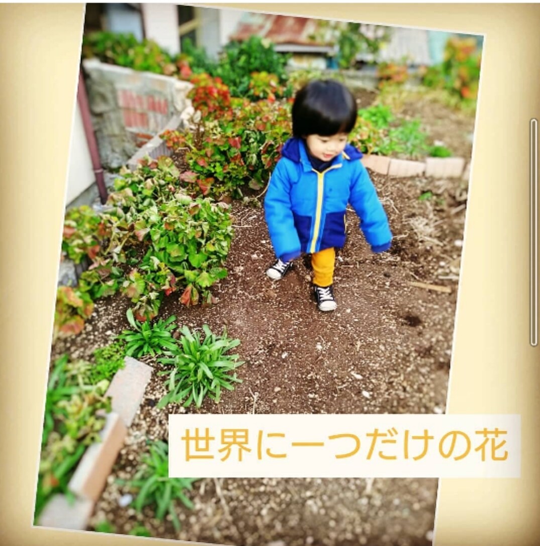 四柱推命で、あなたらしく生きるお手伝いをします 他人軸でない　自分軸でもない　自然軸で生きていく！ イメージ4