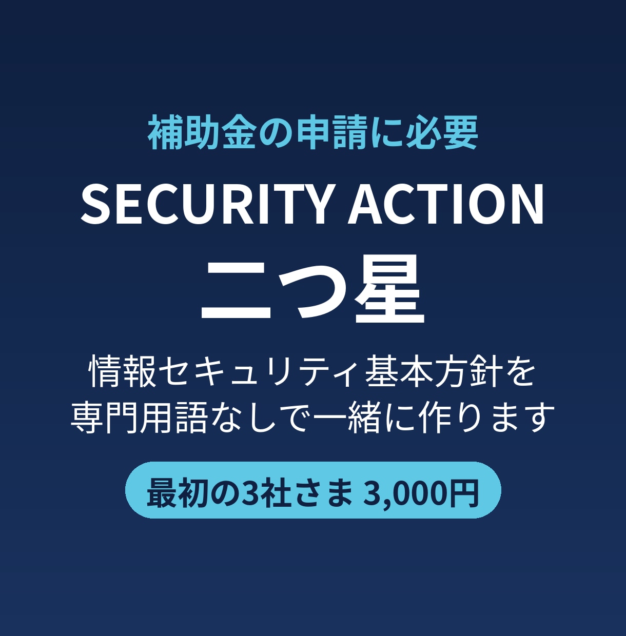 SECURITY ACTION二つ星を作ります 補助金申請に必要な基本方針を、専門用語なしで一緒に作ります イメージ1