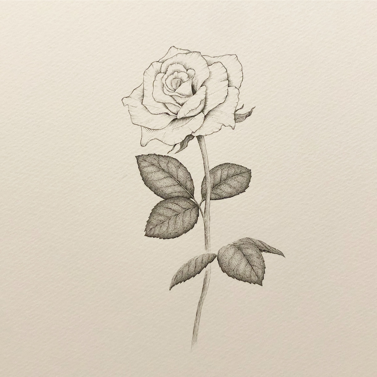 ペン画による繊細なモノクロのイラストを制作します 人、動物、植物、風景、物・・・あなたの大切を一枚の絵に。 イメージ5