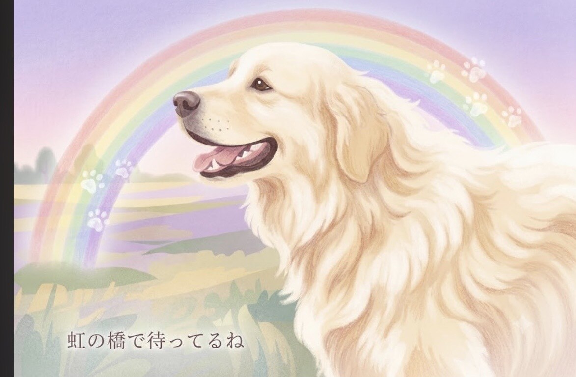 涙が出ても大丈夫。ゆっくりお話し聴きます あの子のお話、たくさん聞かせてください イメージ3