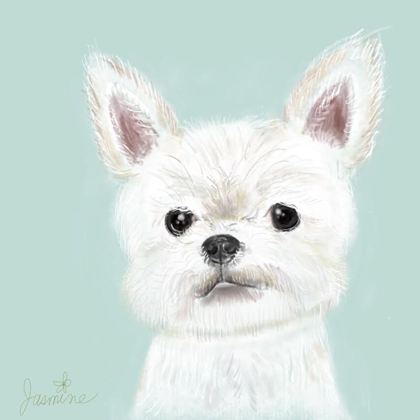 大切なワンちゃんのアートを水彩ペン使って描きます 思い出や性格のカラーを背景に反映させます♡デジタルアート！ イメージ3