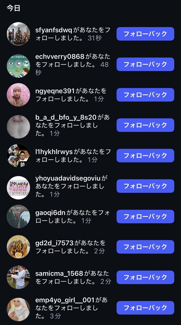 インスタフォロワーを1500人増やします 低減少でゆっくりと自然な海外フォロワーを増やします。 イメージ3