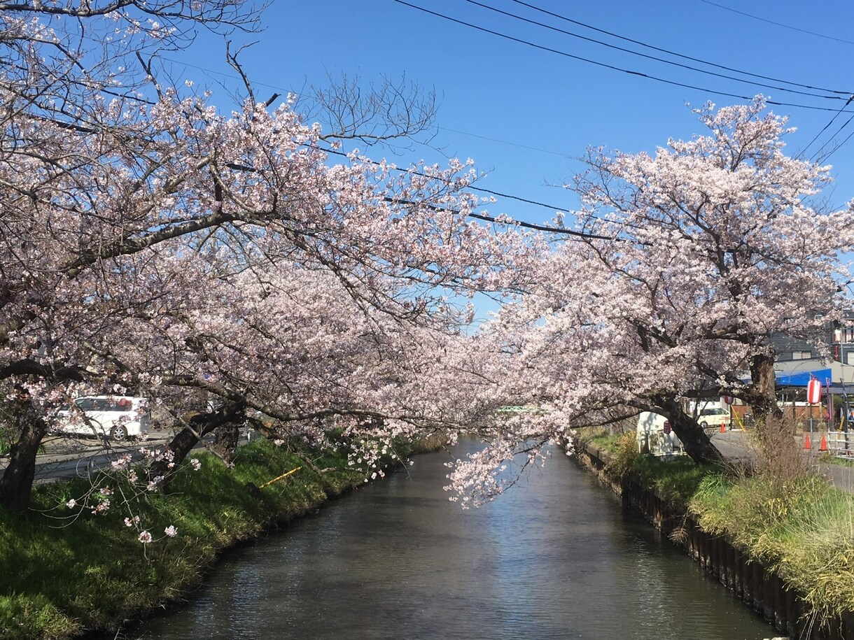 霊視、透視で相手の気持ちや未来お仕事など占います 相手の気持ちを視る事が主ですがお悩み全てに最善を尽くします イメージ3