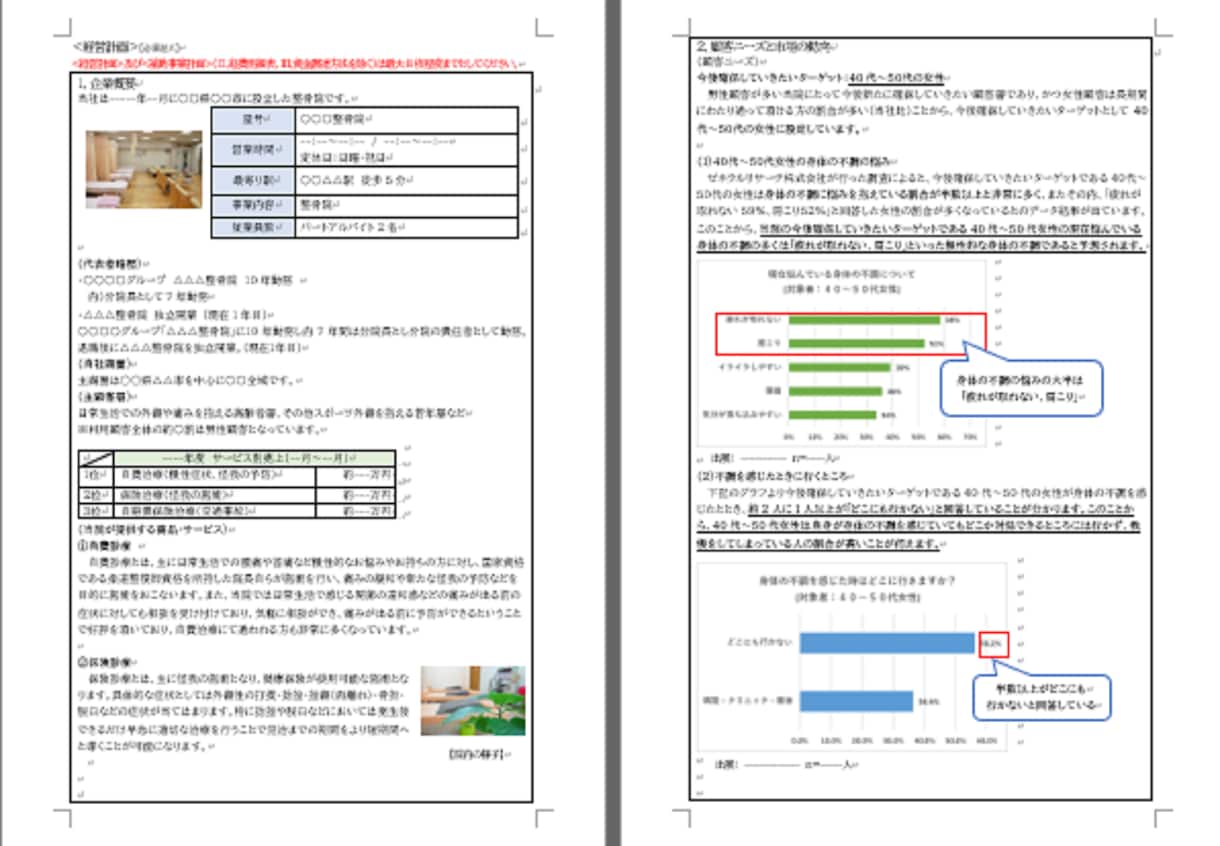 整骨院★持続化補助金採択書類をお譲りします 採択済みの事業計画書を【テンプレート】としても利用できます！ イメージ2