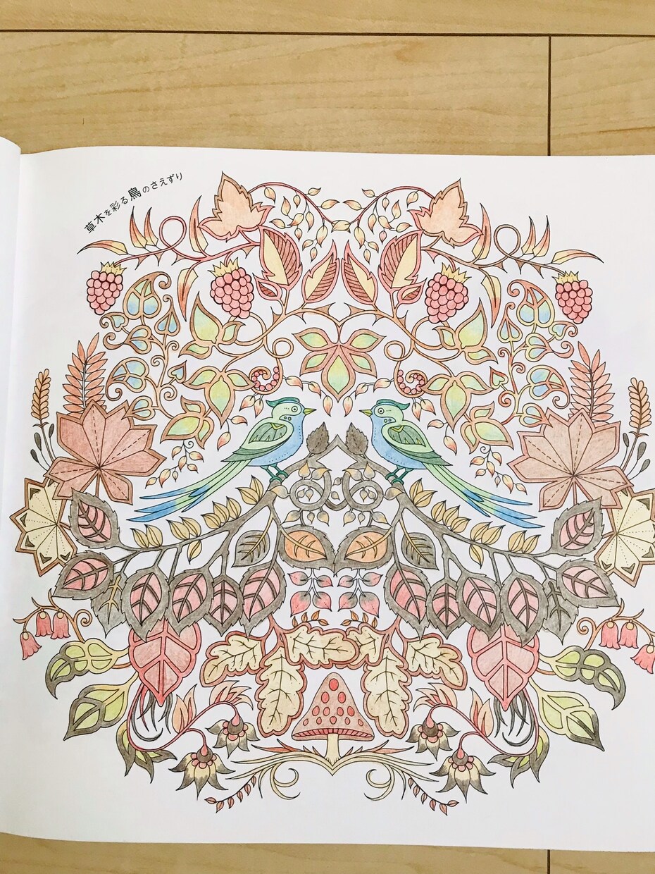 お好きなぬり絵を美しく塗ってさしあげます 綺麗なぬり絵のお手本を提供します イメージ2