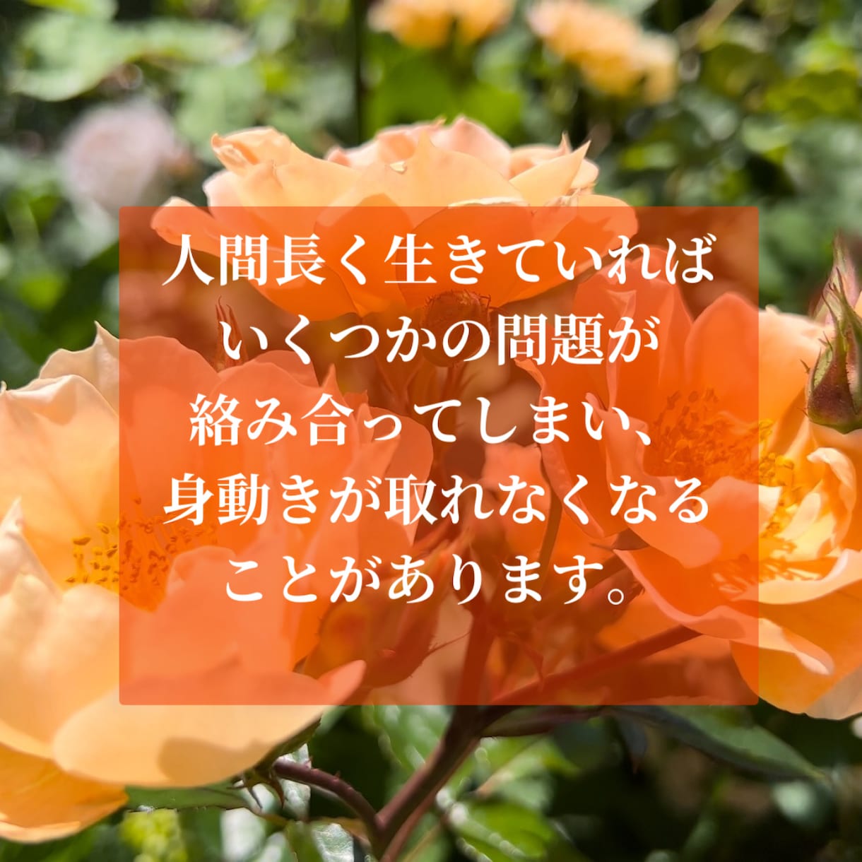 潜在意識のブロック外し！ヒプノ３回スッキリさせます 安心丁寧・有資格ヒプノセラピストが絡み合った悩みを解消！！ イメージ2