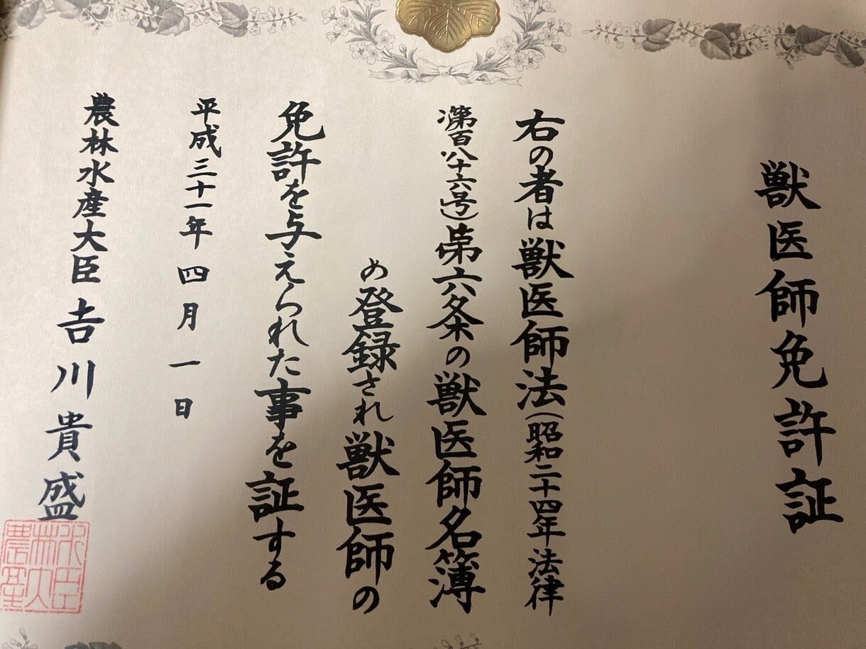 現役獣医師が愛犬・愛猫の健康相談＆不安解消します 人医学及び獣医学的知見から飼い主様の心に寄り添います。 イメージ2