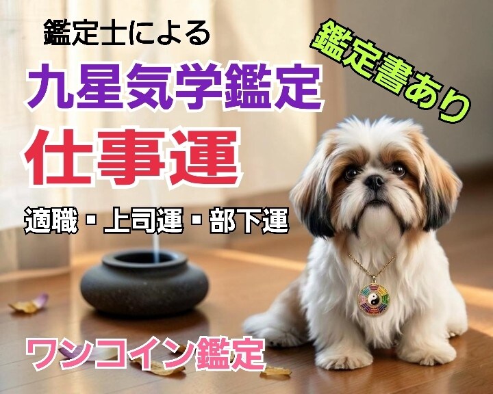 九星気学で仕事運の総合鑑定を行います 「今のままでいい？」あなたがより輝ける道を星でよみとります イメージ1