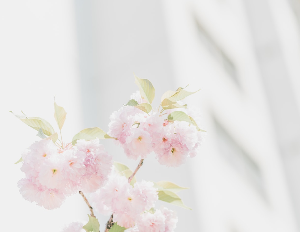 女性限定♪50代の私がNG無しで優しくお聞きします お悩み/秘密/恋愛/婚活/仕事/愚痴/雑談/お気軽にどうぞ♪ イメージ3