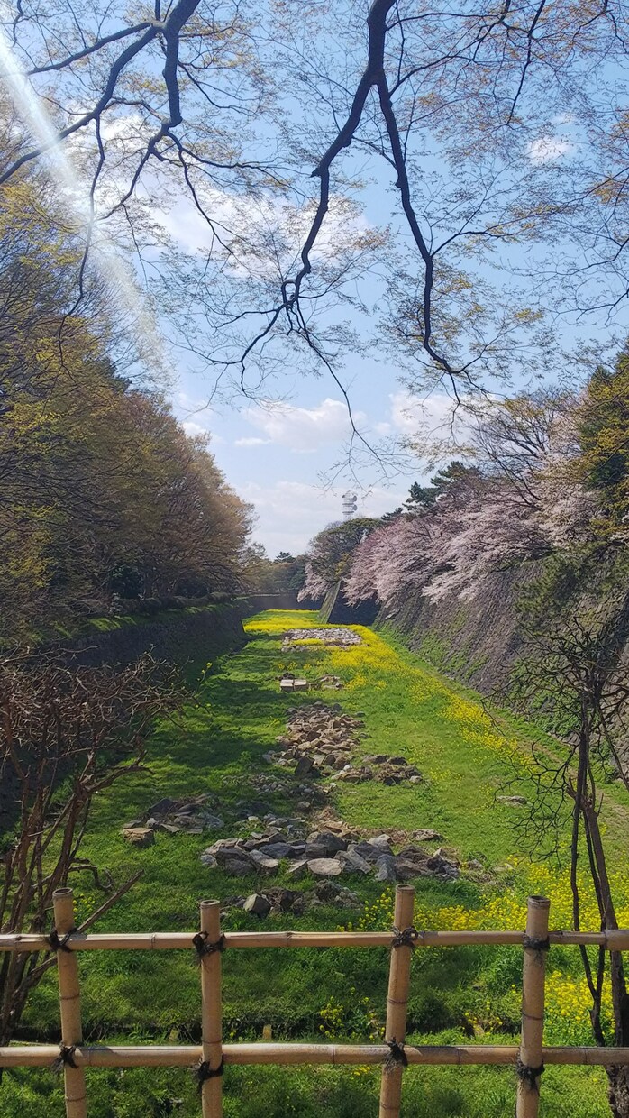 景色や日本の観光地の写真を提供いたします 待ち受けやいろいろな場面でお使いください。 イメージ10