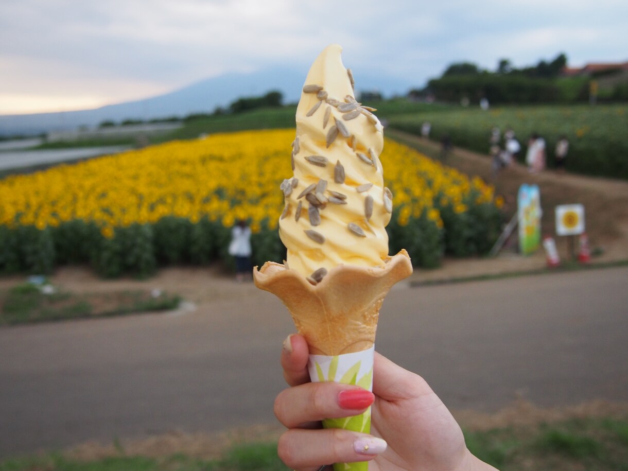 山梨県 夏1日満喫プラン教えます 夏休みに子供と出かけたい！少し遠出して遊びたい！あなたへ イメージ1