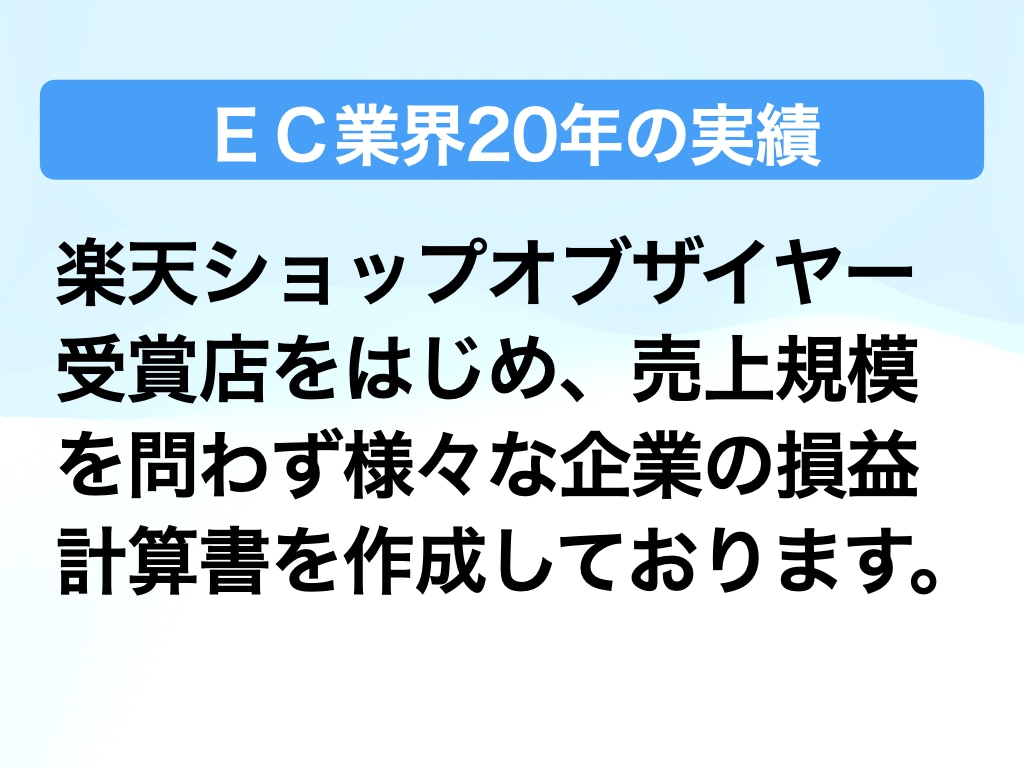 ECサイト損益計算書(PL)作成代行します 楽天ショップ・オブ・ザイヤー受賞店も毎月実施 イメージ2