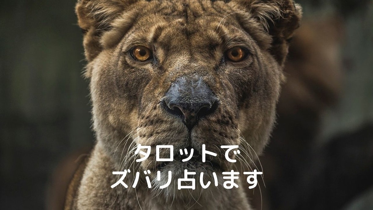 某電話占いサイト現役鑑定師１分１００円占います 某有名占い師主宰会社所属の選ばれた鑑定師 イメージ1