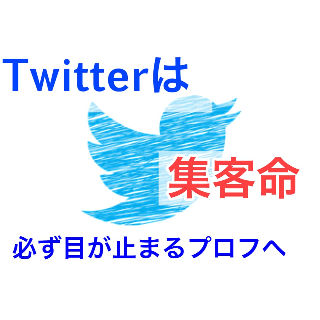 Twitterのプロフィールを添削します ド素人から1ヶ月で1000人フォロワー獲得した僕が教えます イメージ1