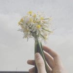 お花からのメッセージを伝えます 花束や、鉢植えの植物等のメッセージを伝えます イメージ1